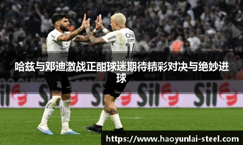 熊猫体育